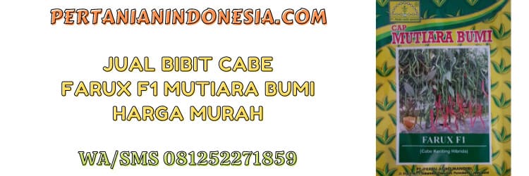 jual,bibit cabe,farux f1,mutiara bumi,pertanian indonesia